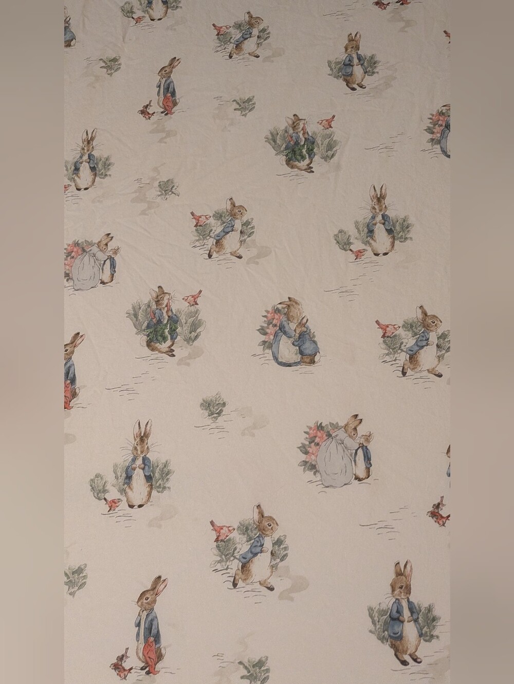Pottery Barn Peter Rabbit Print Full Sized Bed Sheets